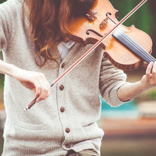 person playing brown violin